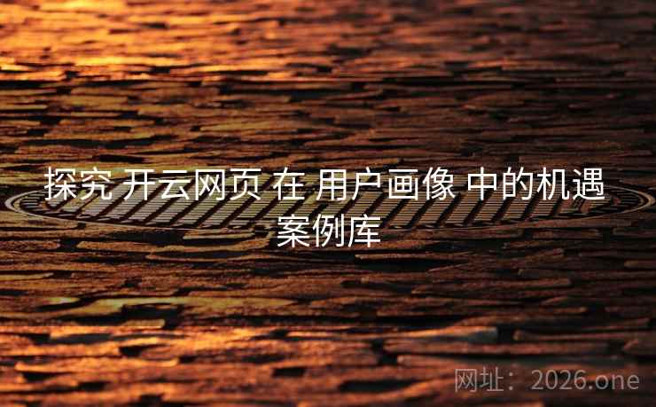 探究 开云网页 在 用户画像 中的机遇 案例库