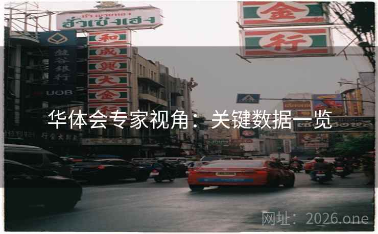 华体会专家视角：关键数据一览