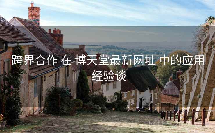 跨界合作 在 博天堂最新网址 中的应用 经验谈