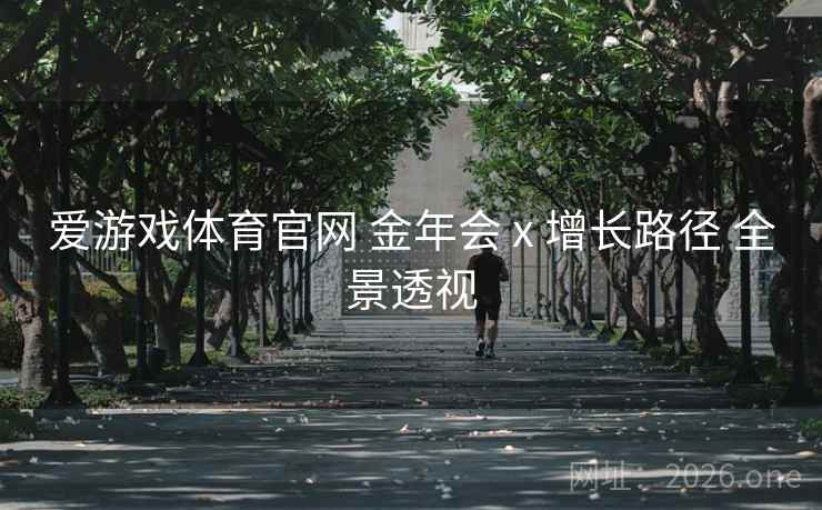 爱游戏体育官网 金年会 x 增长路径 全景透视