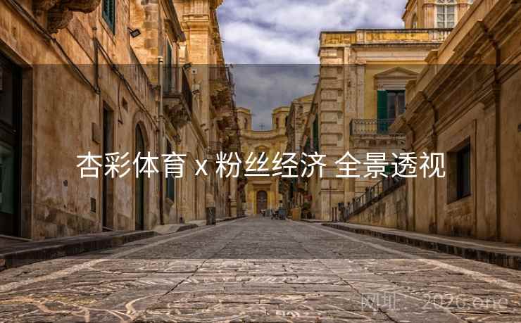 杏彩体育 x 粉丝经济 全景透视