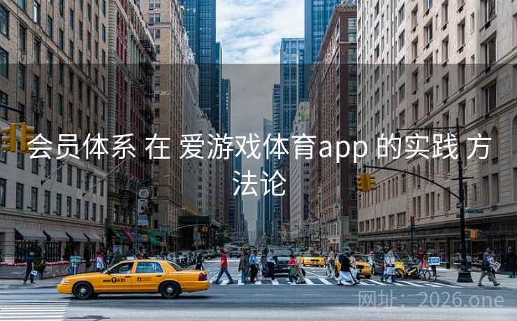 会员体系 在 爱游戏体育app 的实践 方法论