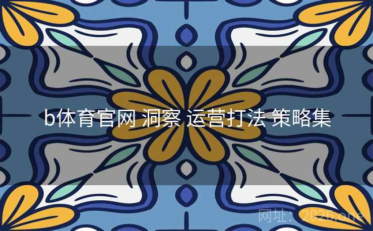 b体育官网 洞察 运营打法 策略集