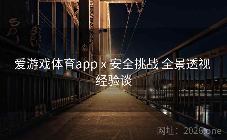 爱游戏体育app x 安全挑战 全景透视 经验谈