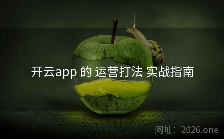 开云app 的 运营打法 实战指南
