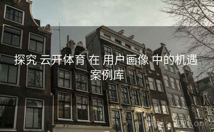 探究 云开体育 在 用户画像 中的机遇 案例库