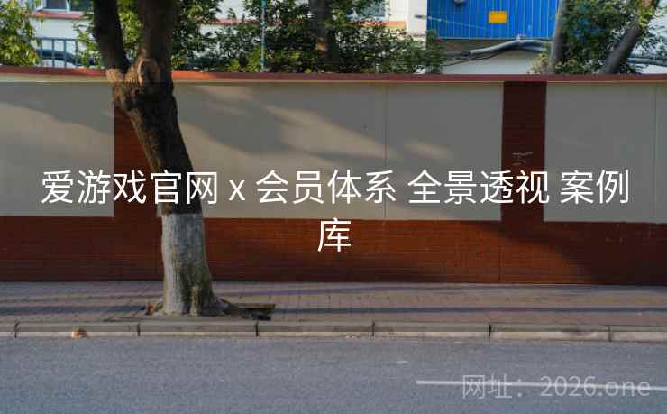 爱游戏官网 x 会员体系 全景透视 案例库
