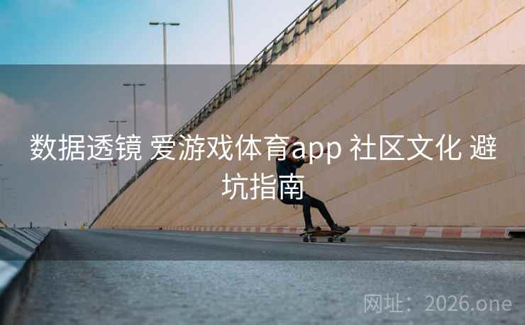 数据透镜 爱游戏体育app 社区文化 避坑指南