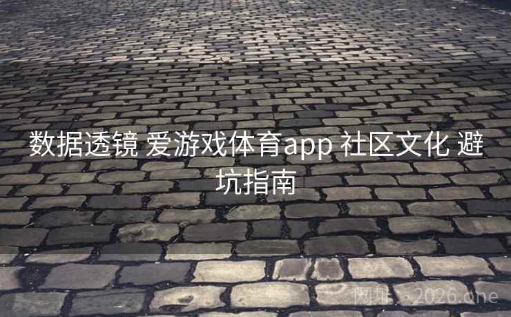 数据透镜 爱游戏体育app 社区文化 避坑指南