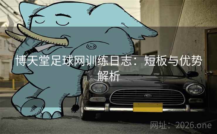 博天堂足球网训练日志：短板与优势解析