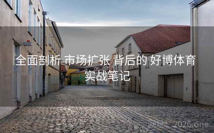 全面剖析 市场扩张 背后的 好博体育 实战笔记